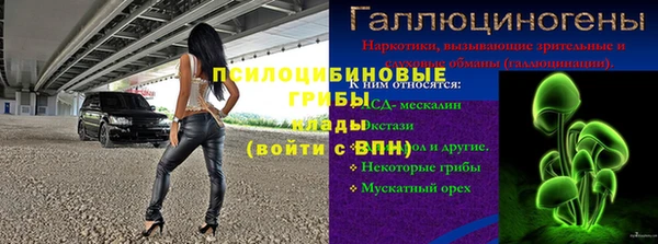 молекула духа Баксан